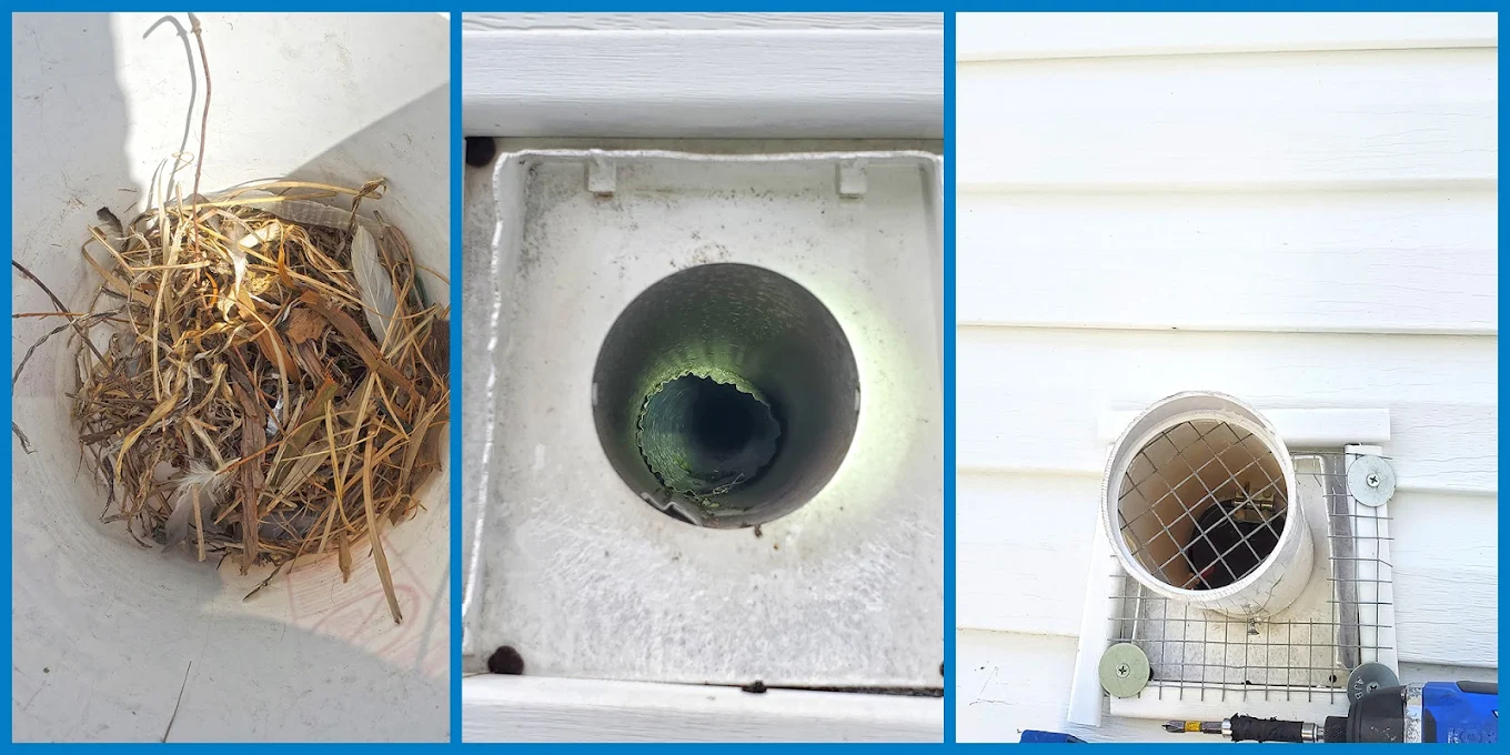 Cowleys Pest Services photo 3