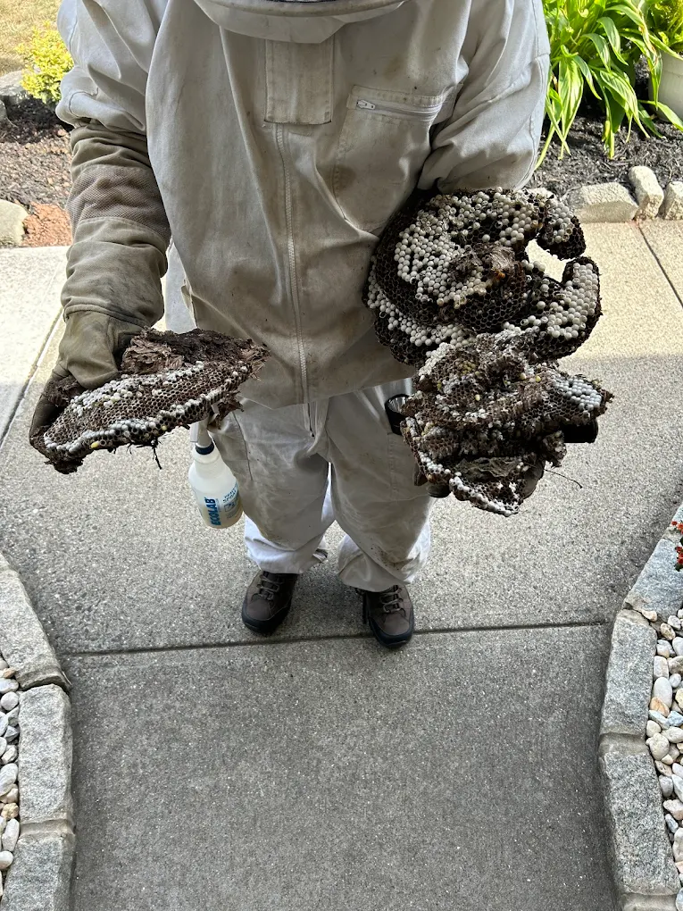 Cowleys Pest Services photo 1