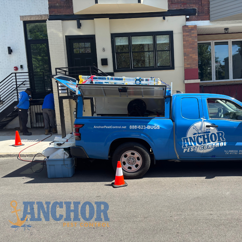 Anchor Pest Control photo 3