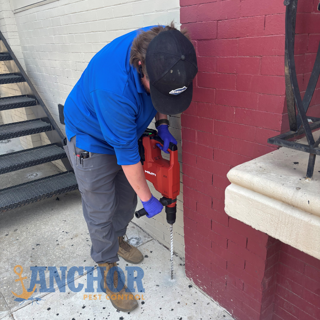 Anchor Pest Control photo 2