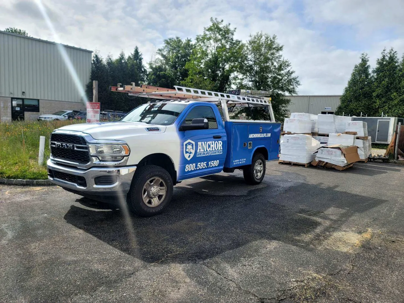 Anchor Pest Control photo 1