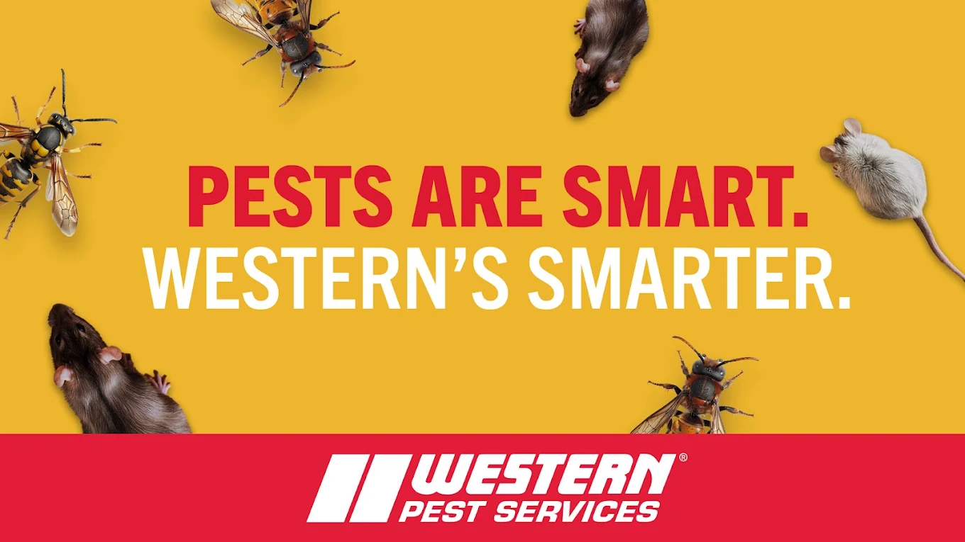 Western Pest Services photo 1