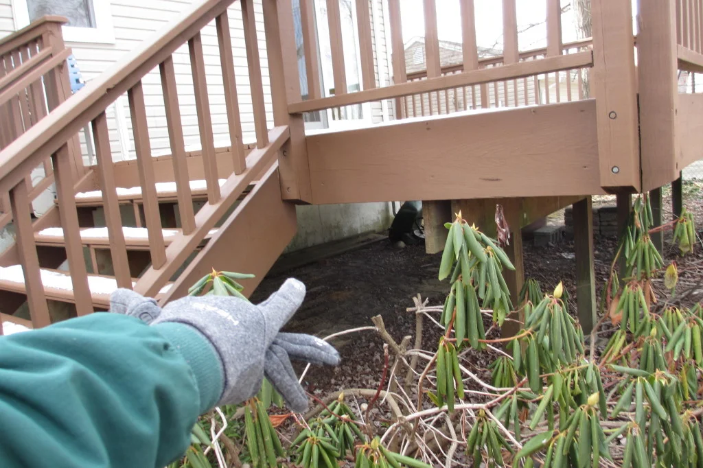Jersey Strong Home Inspection photo 3