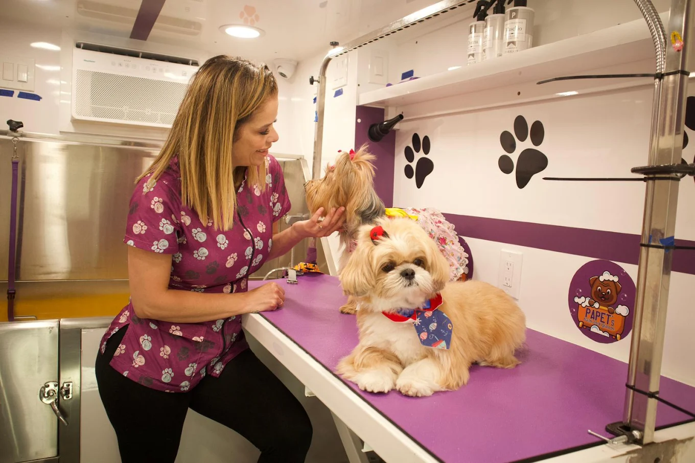 Papet's Mobile Grooming photo 1