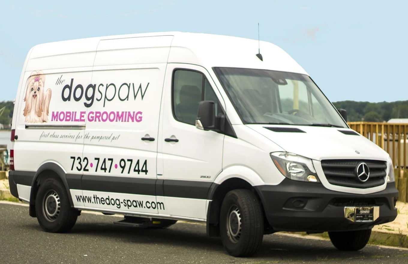 The Dog Spaw of Freehold photo 1