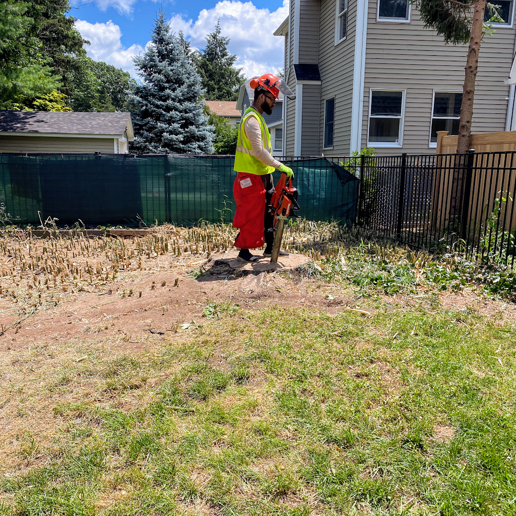JP Landscaping & Snow Services photo 2