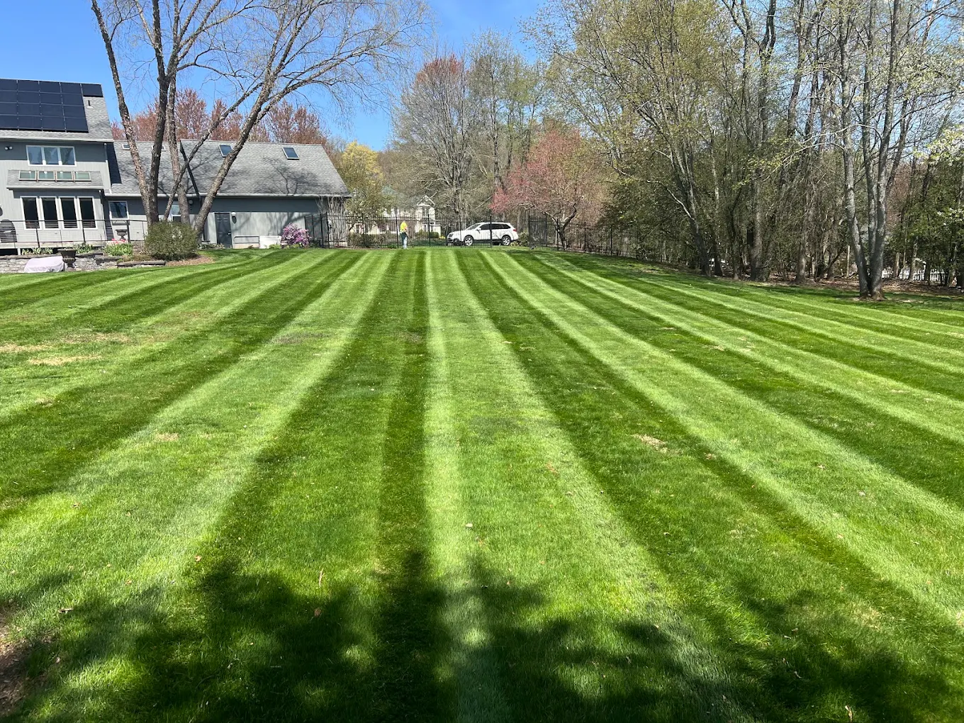BA Landscaping & Lawn Care LLC photo 2
