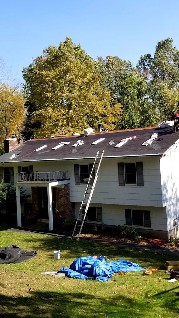 L Pro Painter and Carpenter photo 2