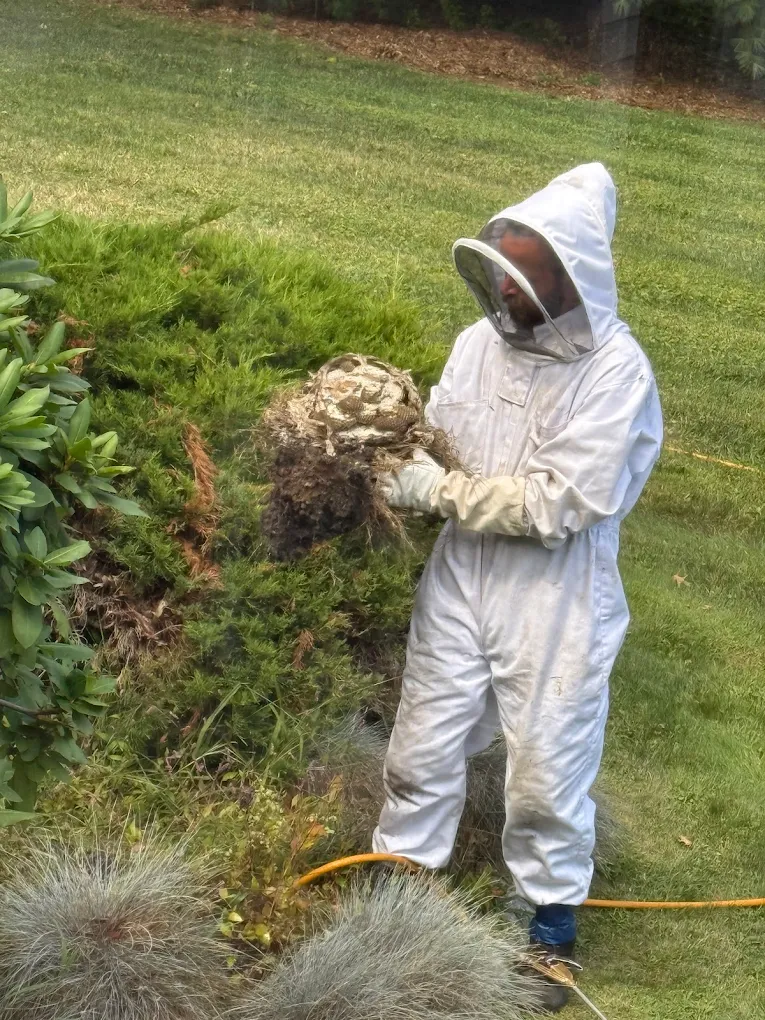Hollenbeck Pest Control photo 2
