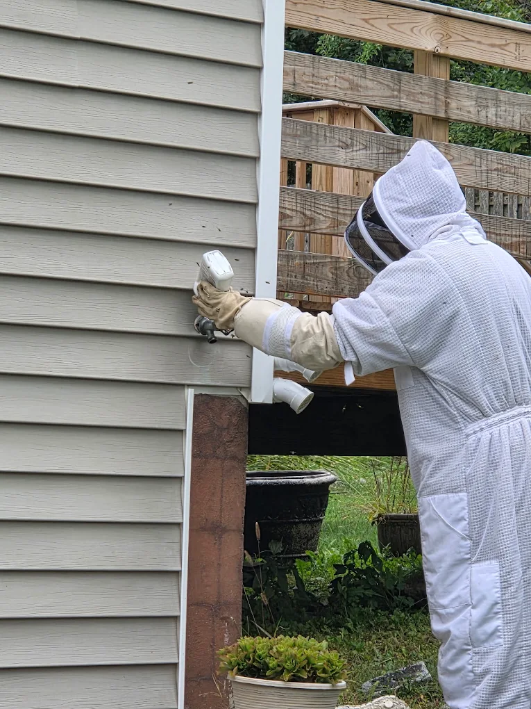 Masters Pest Control photo 1