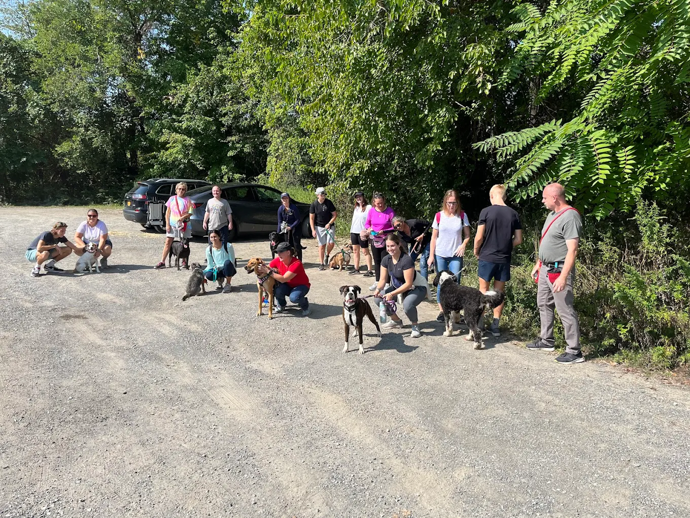 The Traveling Leash photo 1