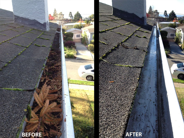 Gutter Cleaning service