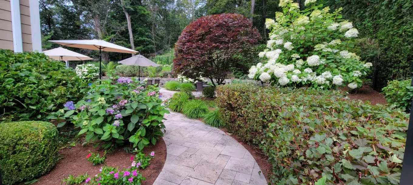 Lawn maintenance service