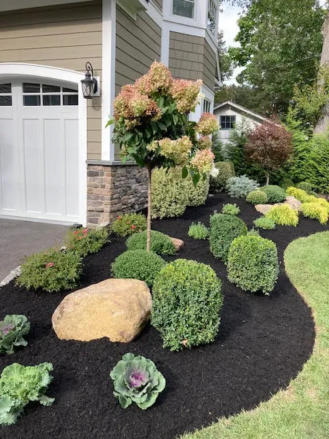 Creative Touch Landscaping photo 2
