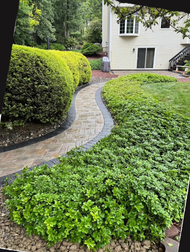 Creative Touch Landscaping photo 3