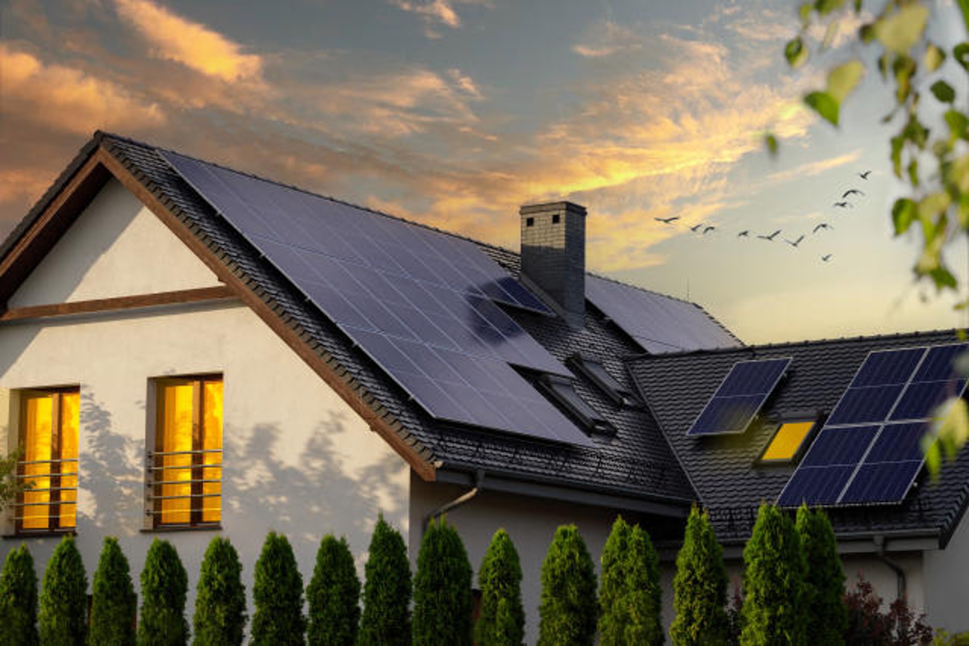 The Solar Guy photo 1