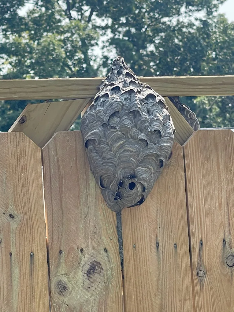 Dan Can Home Services LLC. image 5