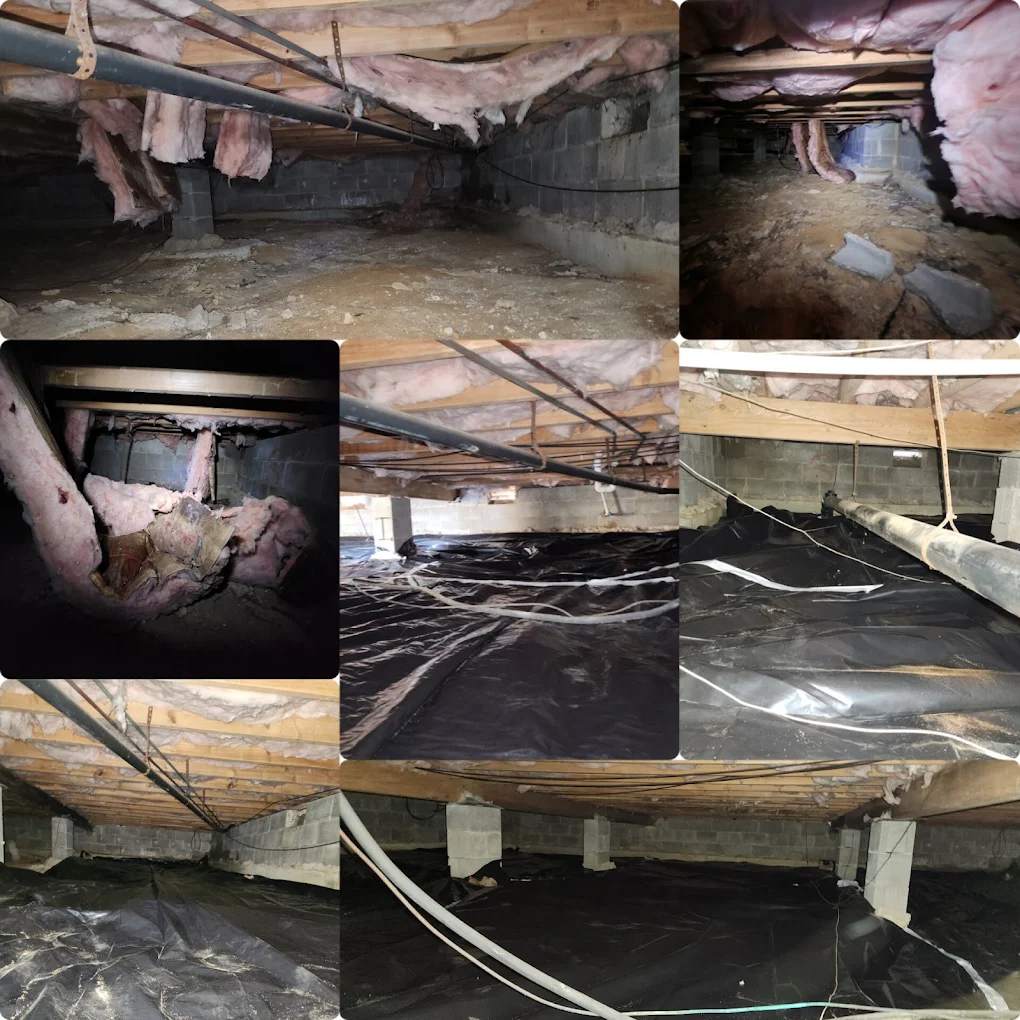 Dan Can Home Services LLC. image 4