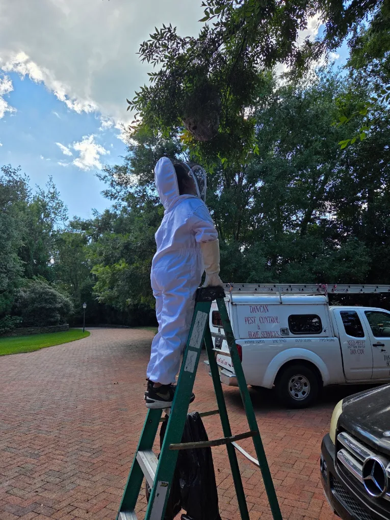 Mosquito Control service