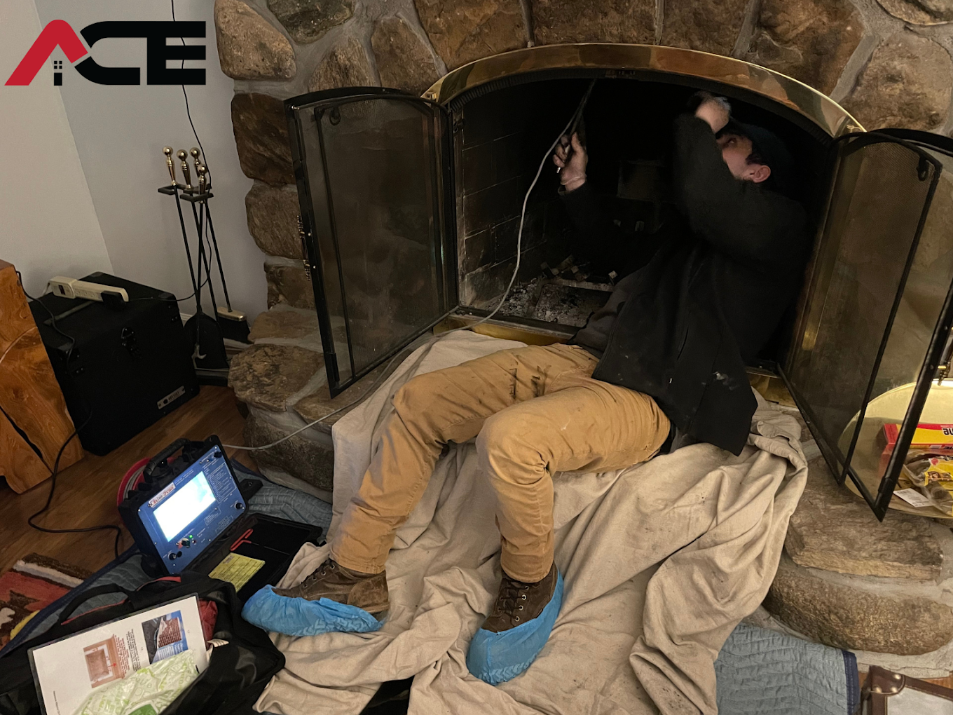 Mold, Pest & Chimney Inspections service