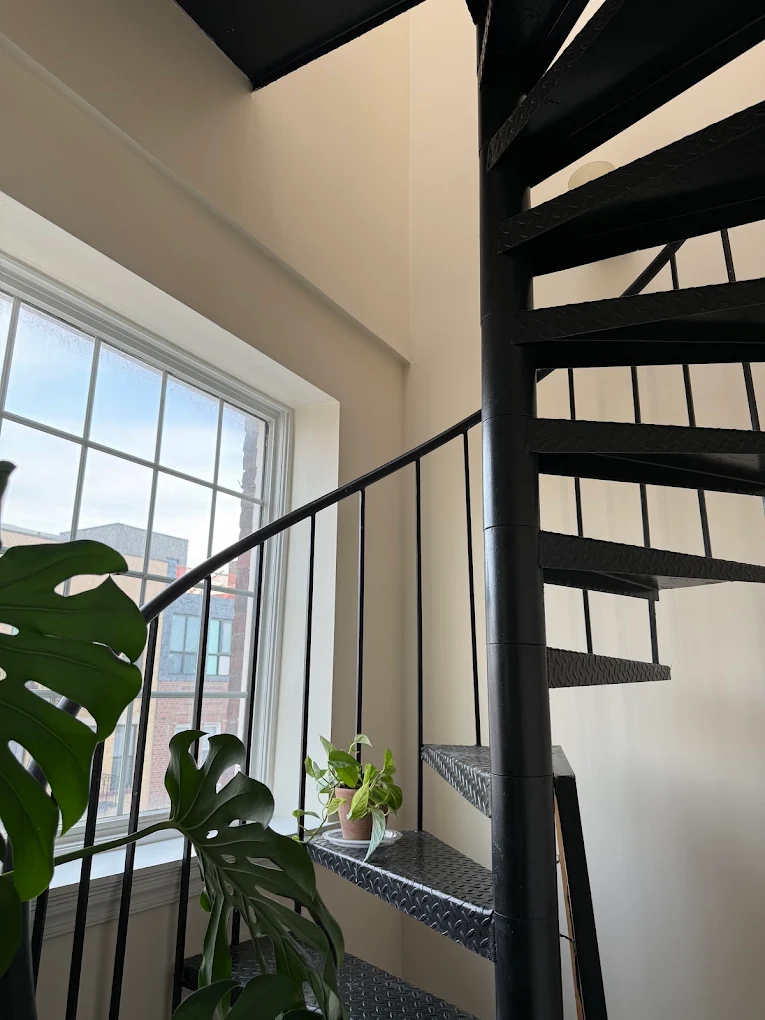 Eco-Friendly / Low-VOC Paint Services service