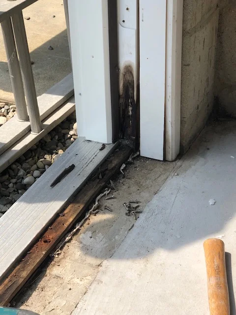 Wood Destroying Insect (WDI) Inspection service