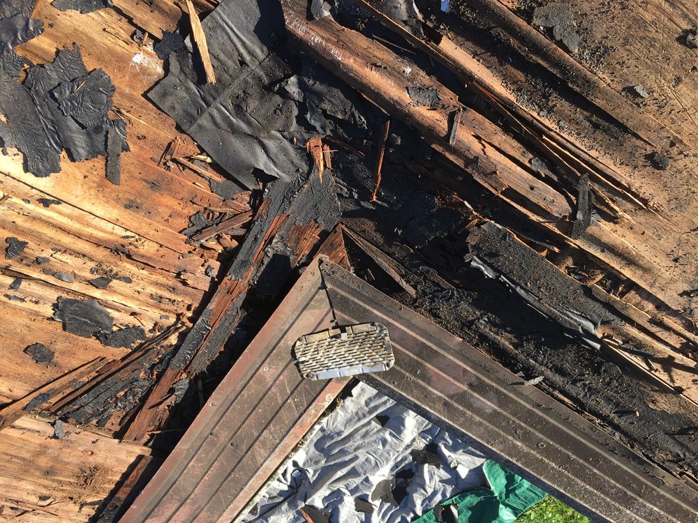 Wood Destroying Insect (WDI) Inspection service