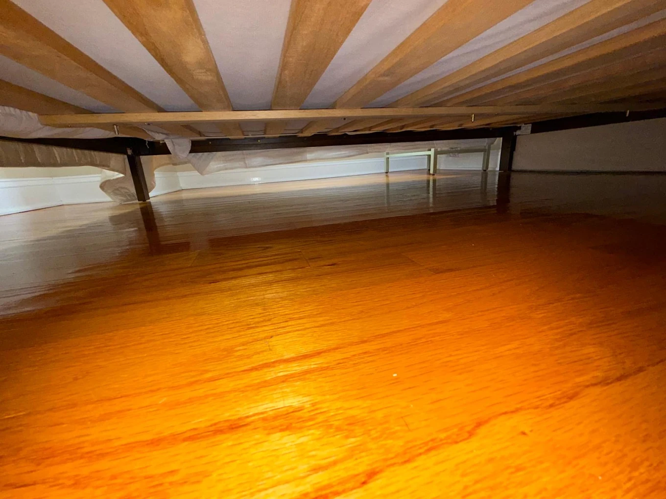 Floor Care & Maintenance service