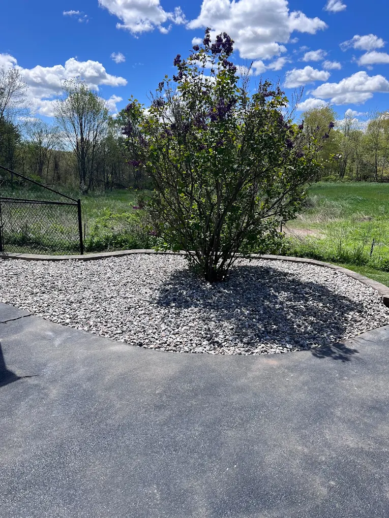 Tree Removal & Stump Grinding service