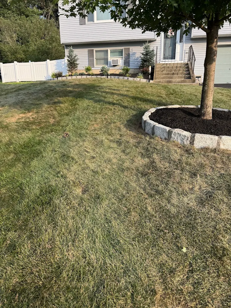 Family Focused Yards service