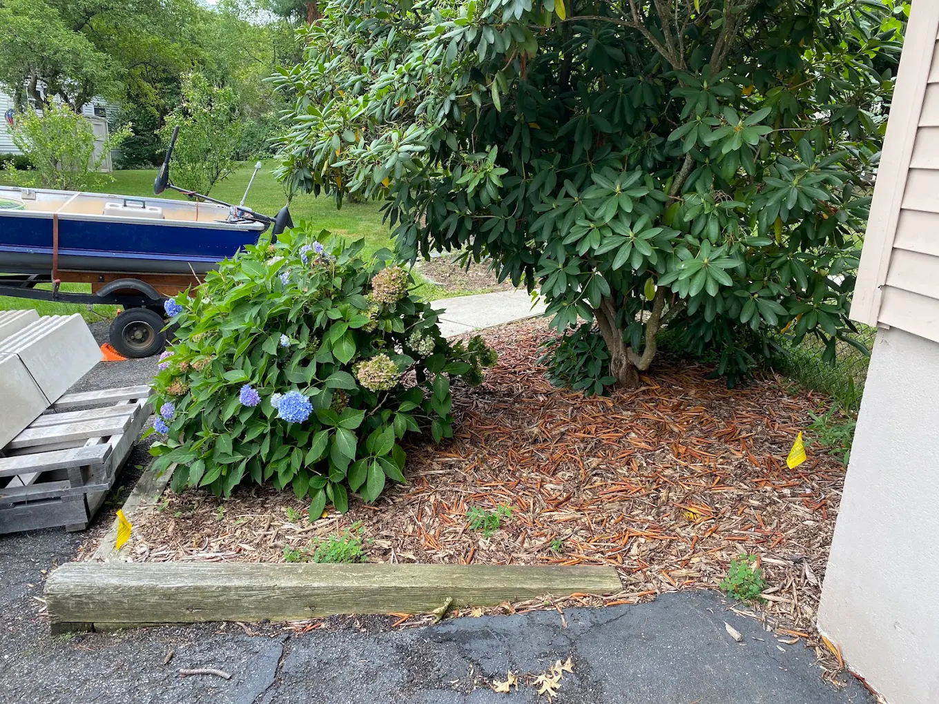Landscape design service