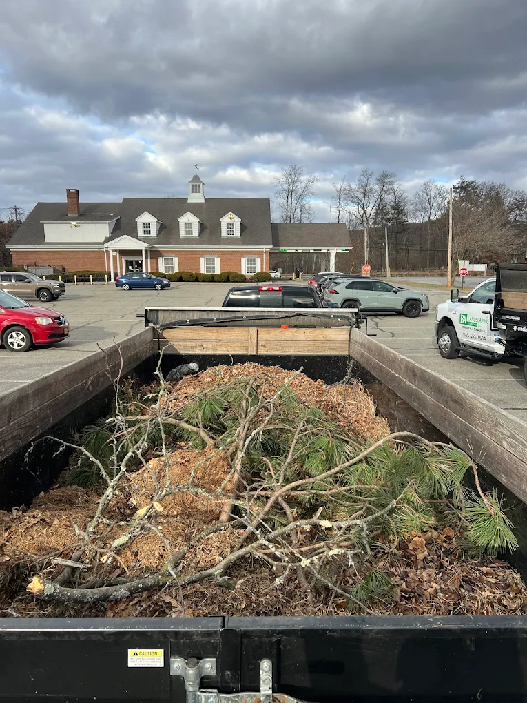 Seasonal cleanups service