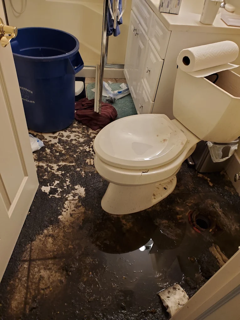 Fire and Smoke Damage Restoration service