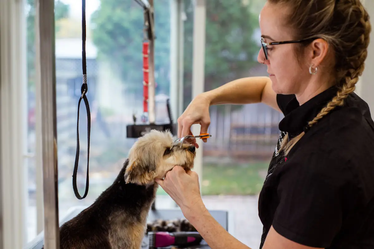 Grooming Service service