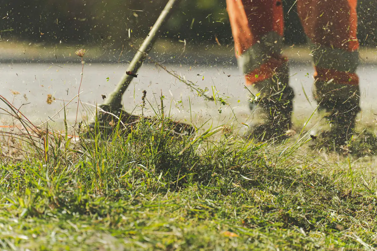 Lawn Maintenance service