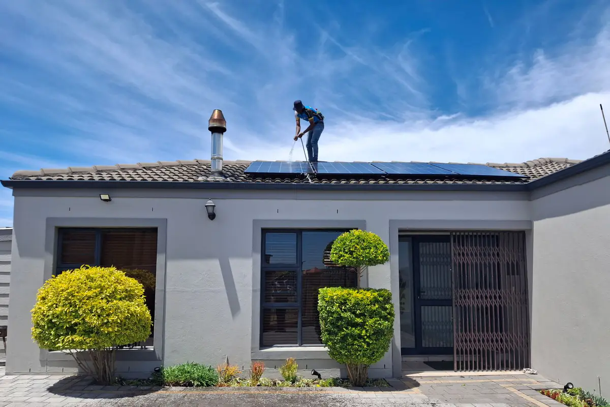 Tree Removal service